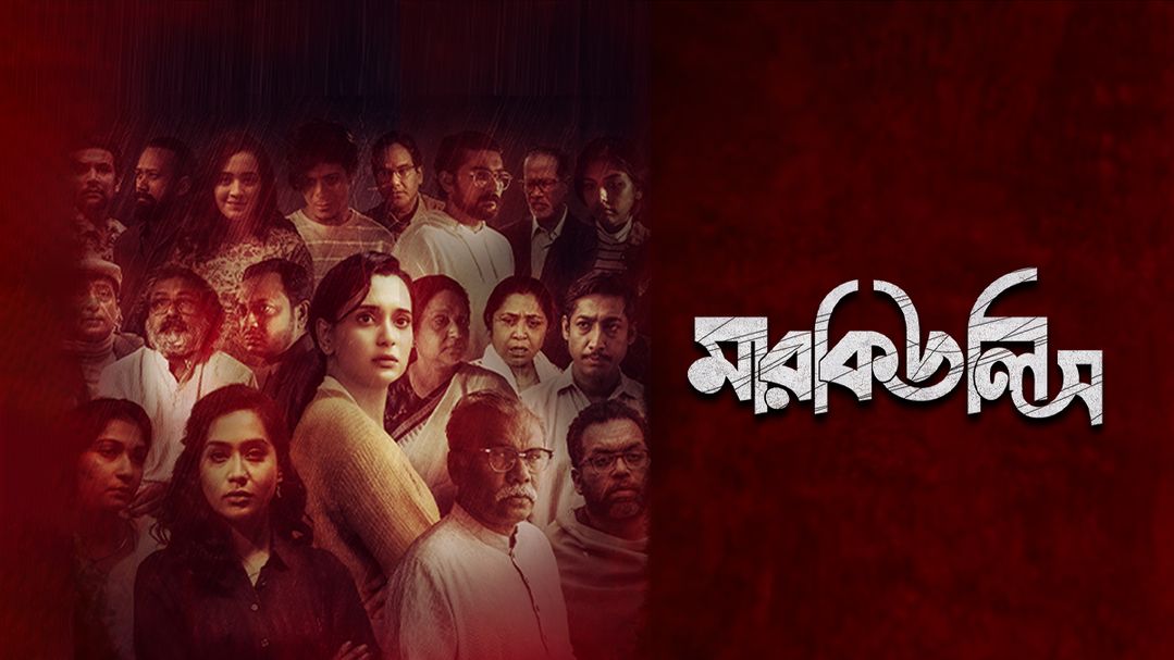 মারকিউলিস