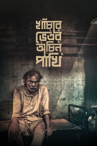 Lost in all directions